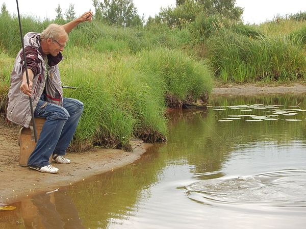 Изображение Карасик попался не мелкий! Фото: Андрей Яншевский.