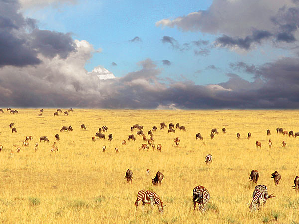 Изображение ФОТО SHUTTERSTOCK