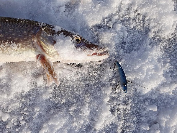Изображение Фото: Коломийца Алексея. 