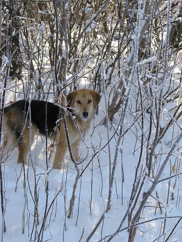 Изображение фото: Валентина Игнатова