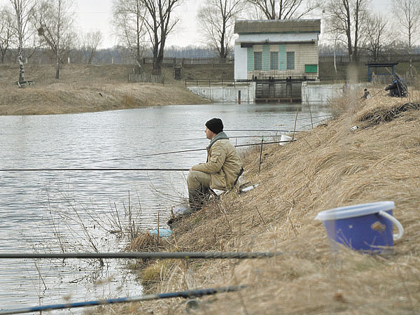Изображение Фото: Линника Николая.