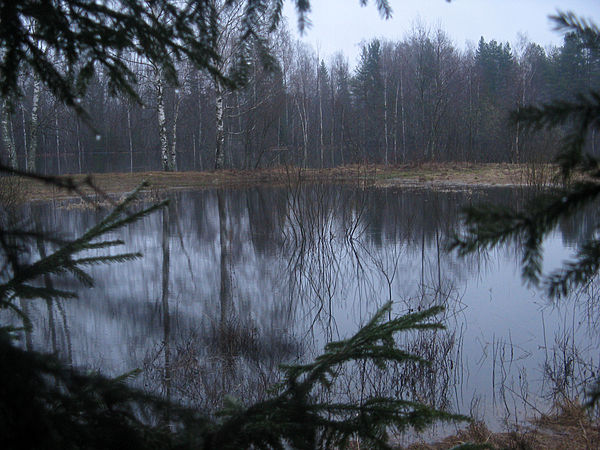 Изображение фото: Михаила Семина