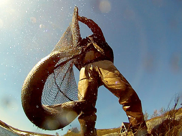 Изображение Никакие сложности не останавливают в желании поймать такой трофей. Фото: Геннадий Шеляг. 