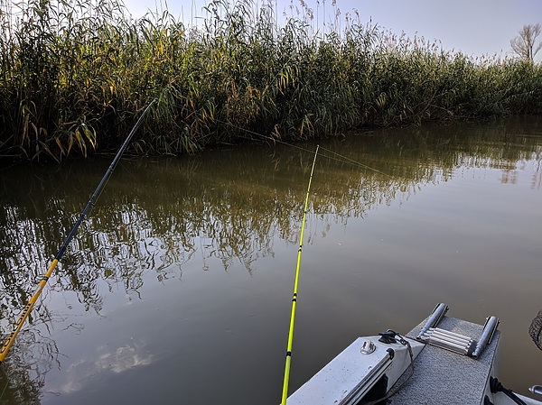Изображение В одной из проток. Фото: Трембицкого Алексея.