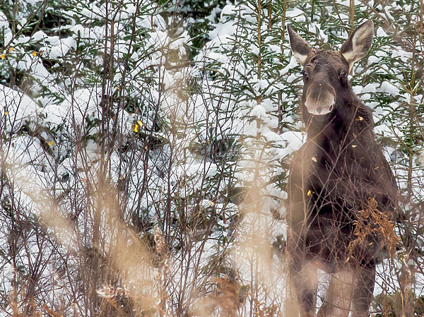 Изображение ФОТО SHUTTERSTOCK
