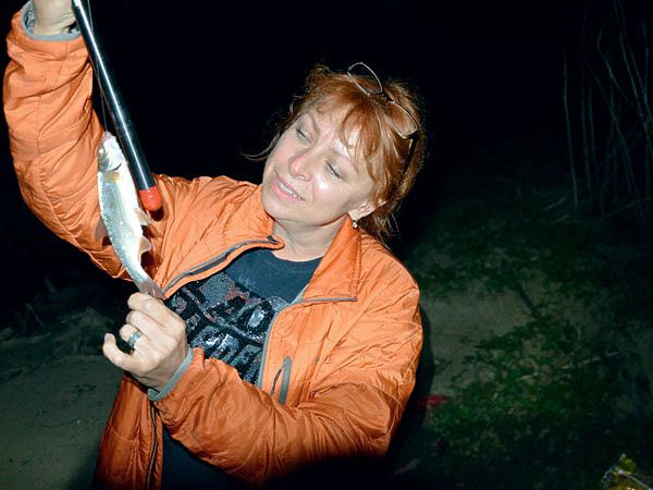 Изображение Этот рыбец попался на крючок уже в полной темноте. Фото: Шеляга Геннадия.