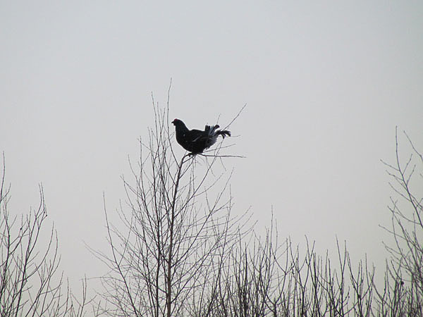 Изображение Фото автора.