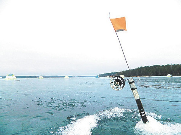 Изображение Фото: Мурашко Алексея. 