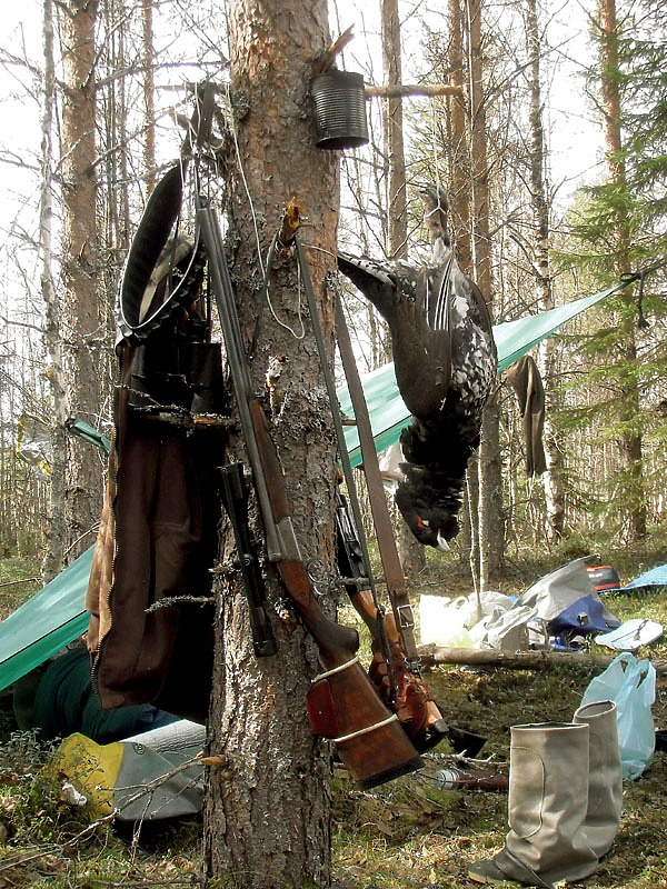 Изображение Фото автора. 