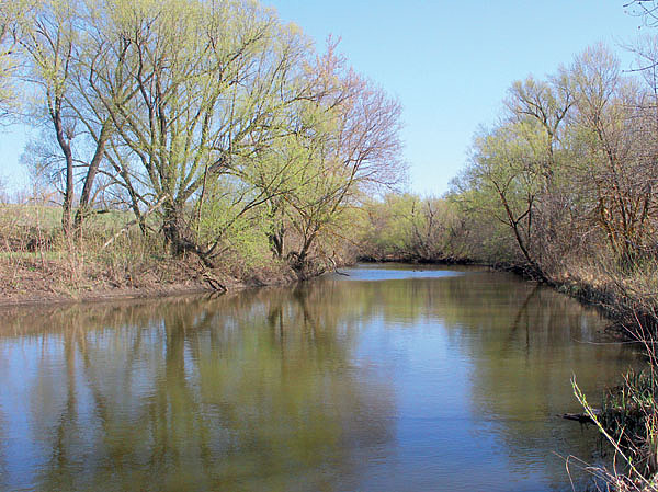 Изображение Фото: Николай Лебедев.
