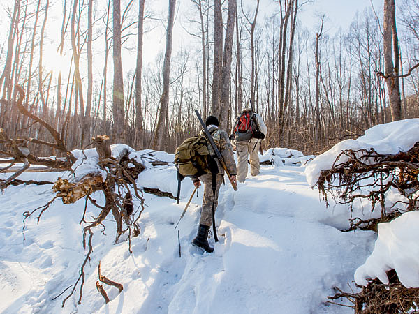 Изображение Здесь, по вершинкам кедровых сопок, снег выпадает в первую очередь, его уже и так местами до колена. Торопиться надо охотникам. ФОТО SHUTTERSTOCK