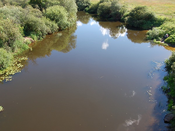 Изображение Фото: Яншевского Андрея. 