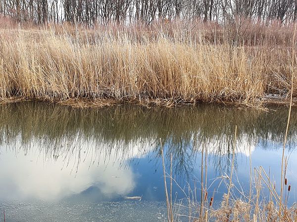 Изображение Ну как в таком месте может не быть рыбы? Фото: Геннадий Шеляг.
