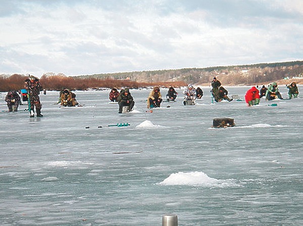 Изображение Фото: Пашикина Кузьмы.