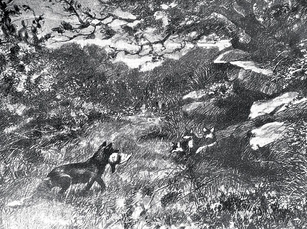 Изображение ИЛЛЮСТРАЦИЯ ИЗ АРХИВА ПАВЛА ГУСЕВА