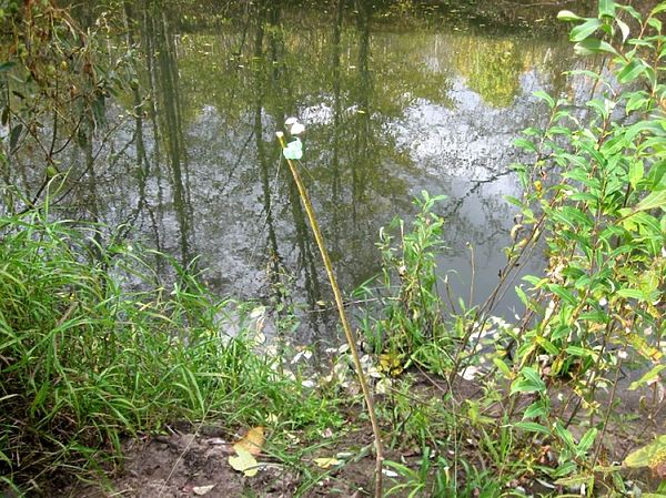 Изображение Фото: Александр Токарев.