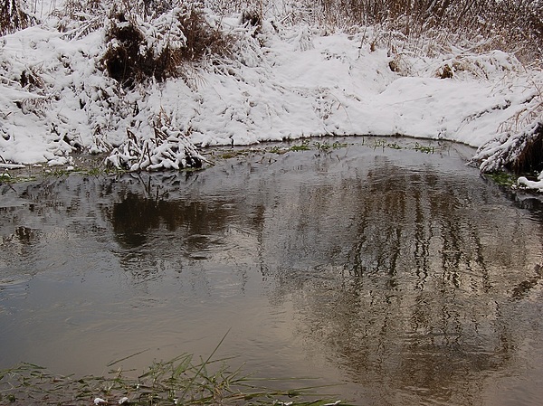 Изображение Фото: Яншевского Андрея. 