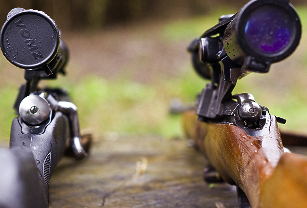 Изображение Боковое расположение кронштейна оптики позволяет использовать открытые прицельные приспособления. 