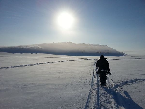 Изображение Фото: Геннадий Шеляг.