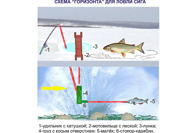 Изображение Фото: Смирнова Александра. 
