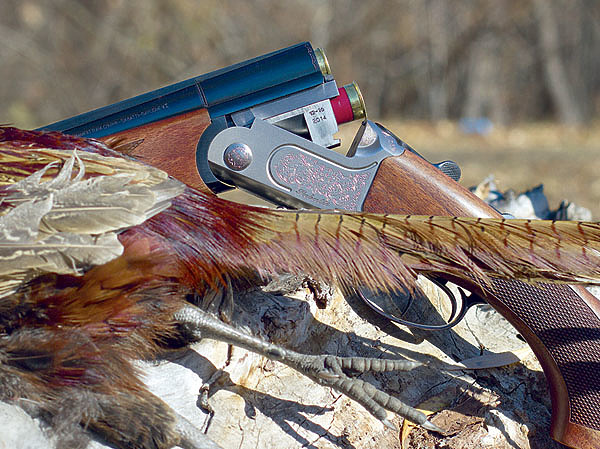 Изображение Фото автора. 