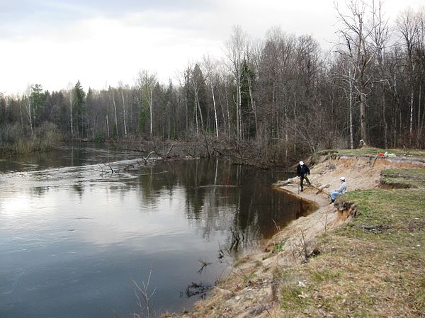 Изображение Фото: Александр Токарев.