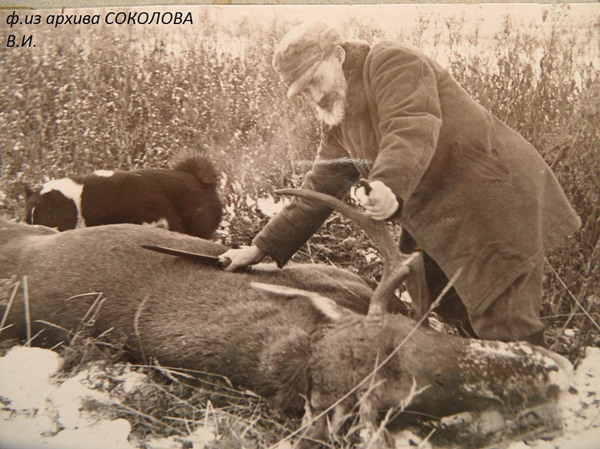 Изображение Мельников А.П. на охоте