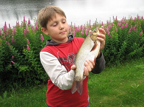 Изображение Фото: Струева Владимира. 