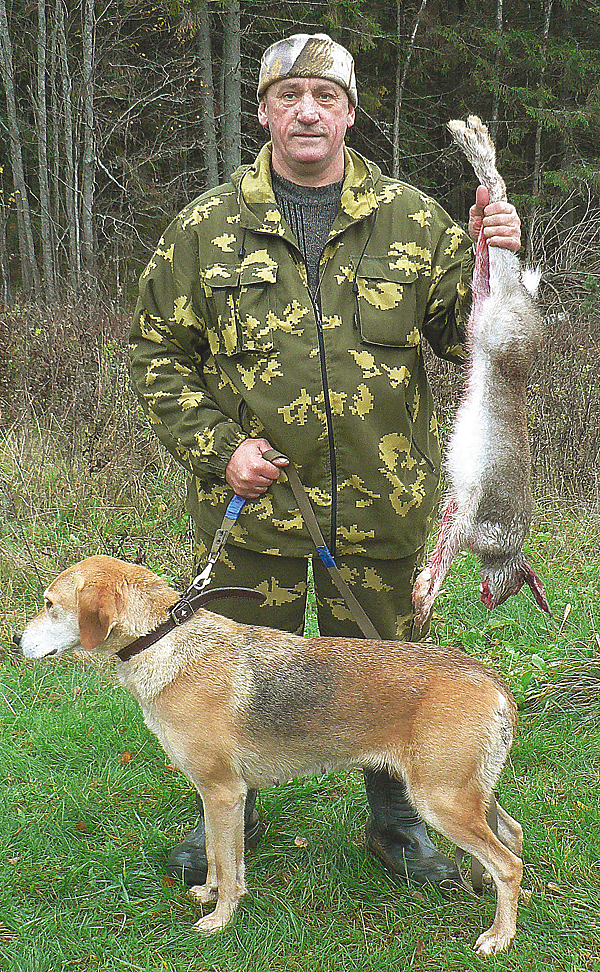 Изображение Милосердов С.А. с Чемпионом 17-х состязаний гончих — Песней 3928/13.
Заяц отстрелян из-под гона Песни на 76-й минуте гона.