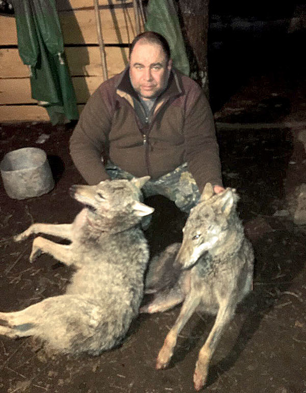 Изображение Рустам — настоящий профессионал в охоте на серых хищников. Фото автора.