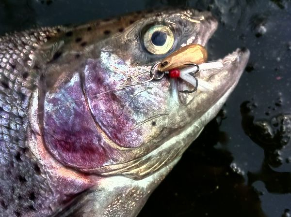 Изображение Грушка весом 3 грамма - латунная капля с тройником оснащенным пучком белой шерсти (мушкой). Фото: Евгений Кузнецов.