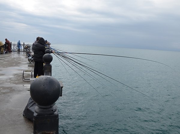 Изображение На адлерском причале лес удочек. Фото: Шеляга Геннадия. 