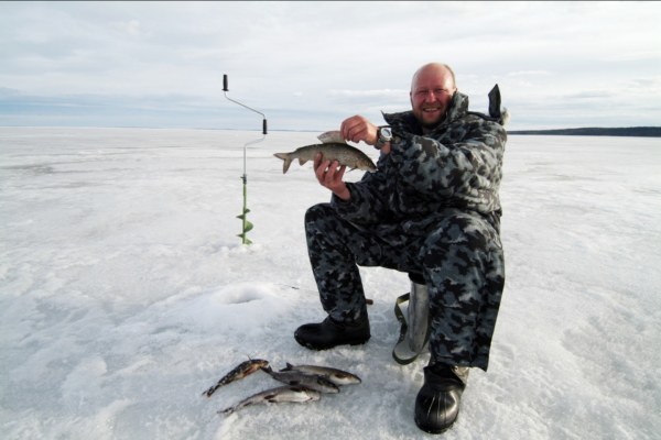 Изображение Миша отличился 