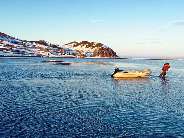 Изображение Охотоморский бурлак в наши дни. Фото автора.