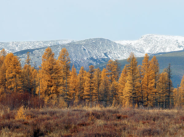 Изображение ФОТО SHUTTERSTOCK.COM
