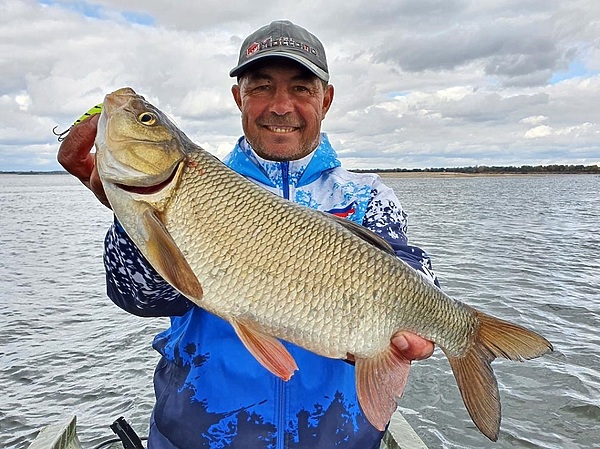 Изображение Язи в сентябре отлично ловятся на воблеры. Фото: Коломийца Алексея. 