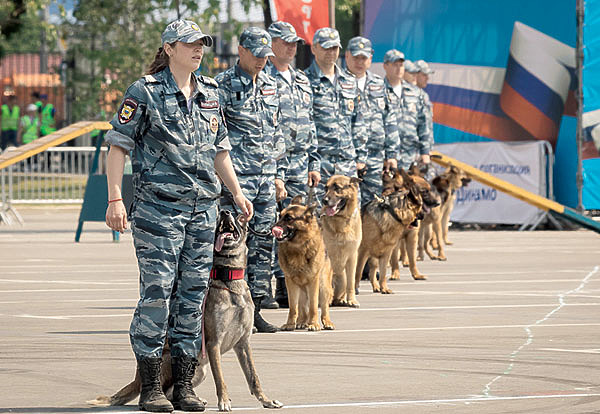 Изображение 21 июня в России отмечается День кинологических подразделений МВД. В этот день в 1909 году в Санкт-Петербурге открылся первый питомник полицейских сыскных собак. Проходят века, но дружба человека и собаки становится лишь крепче. Война ли, стихийное бедствие, работа в качестве поводыря или пастуха — везде собаки приходят на помощь человеку. Фото: shutterstock