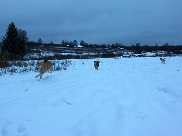 Изображение фото: Валентина Игнатова