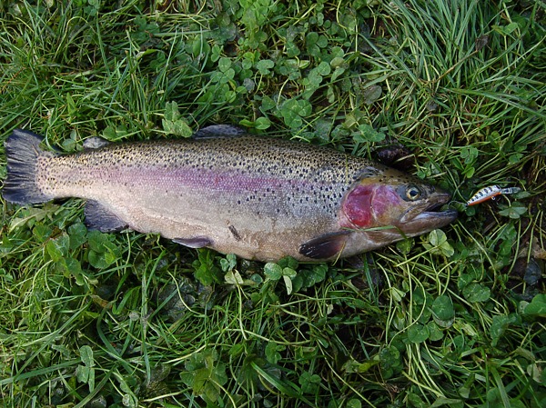 Изображение Фото: Яншевского Андрея.