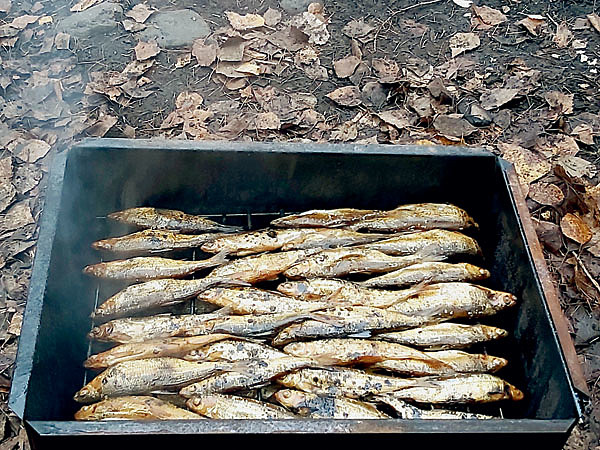 Изображение Тугунок – местный деликатес. Фото: Тоболь Евгении.