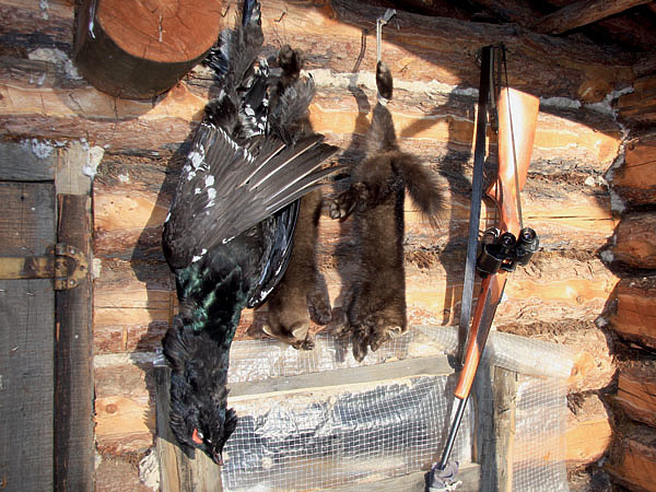 Изображение Это зимовье строили еще орешники для своих осенних нужд. Зимой же ближайший ручей замолкал. И приходилось пользоваться лишь снегом. Надо бы новое зимовье построить, но как-то сроднились с этим, да и места вокруг добычливые. ФОТО SHUTTERSTOCK