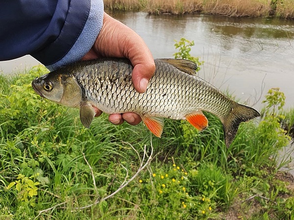 Изображение Фото: Коломийца Алексея. 