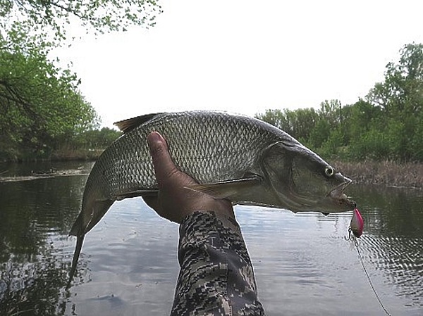 Изображение Фото: Коломийца Алексея. 