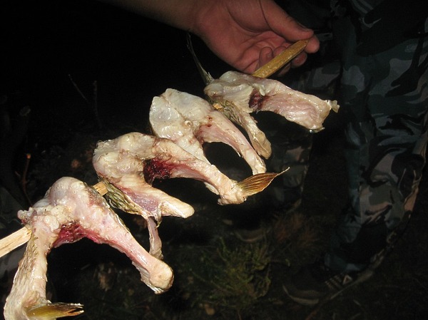 Изображение Фото: Александр Токарев. 