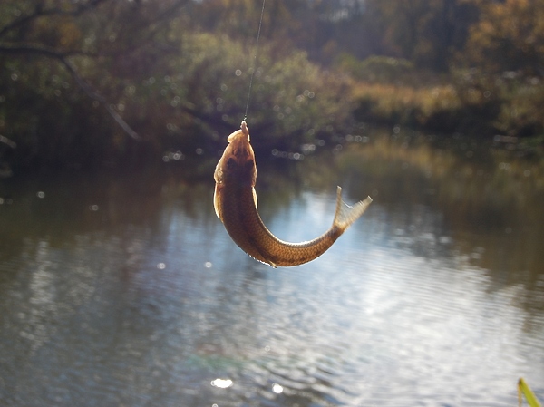 Изображение Фото: Андрей Яншевский. 