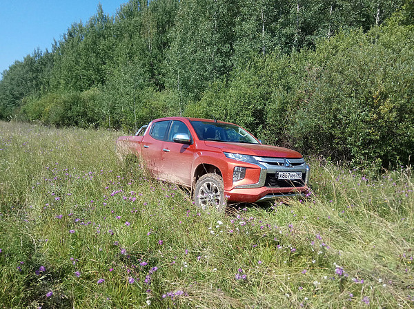 Изображение Луговина с намеком на старую колею не стала преградой для пикапа.