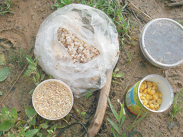 Изображение Фото: Анатолий Маилков.