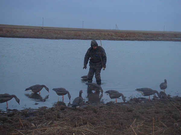 Изображение фото автора