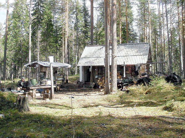 Изображение Добротная охотничья избушка на берегу озера в Карельской глубинке. Фото автора. 