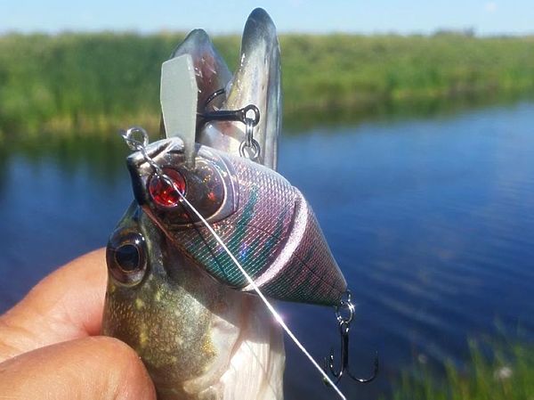 Изображение Pontun21 Bully Boo 60F SR – я разглядел в нем карасика. Фото: Алексей Коломиец. 